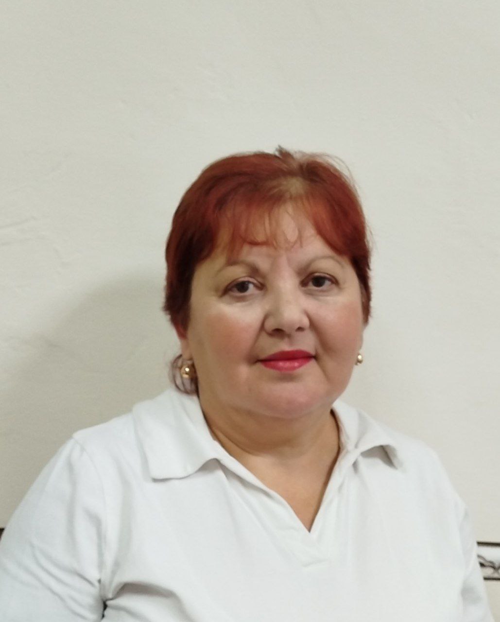 Шаповалова Виорика Сергеевна Шаповалова Виорика Сергеевна.